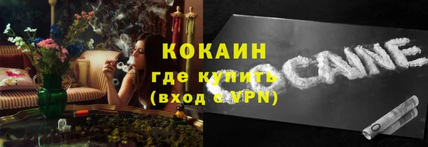 мдпв Пестово