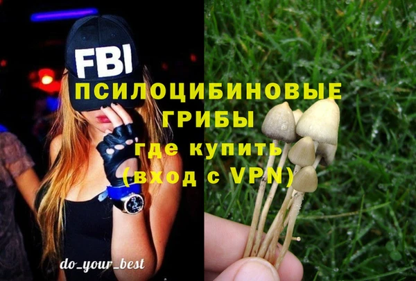 спиды Осташков