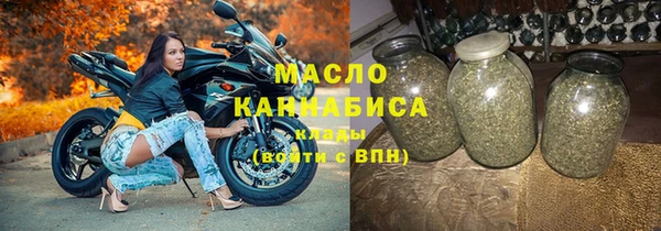 мдпв Пестово