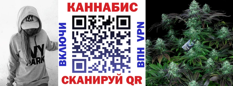 Купить где  Новая Ладога  Каннабис Amnesia 